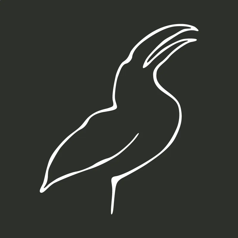 Le toucan toco