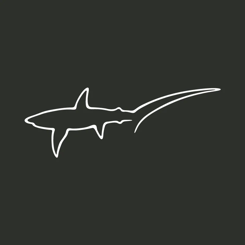 Le requin renard