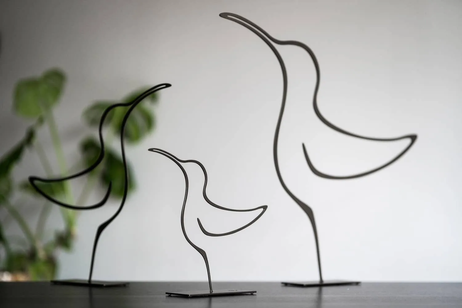 Edouard Astruc 0628