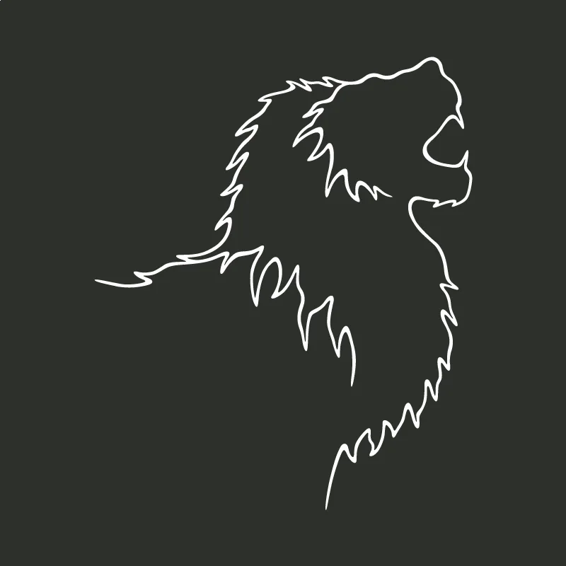 Le lion d'Afrique