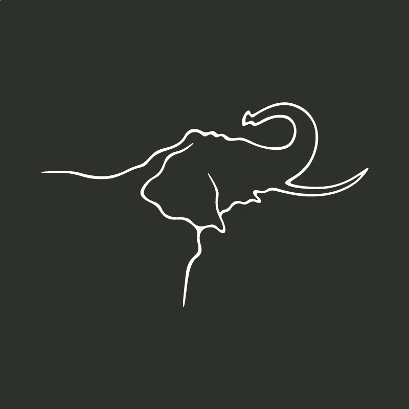 L’éléphant d’Angola