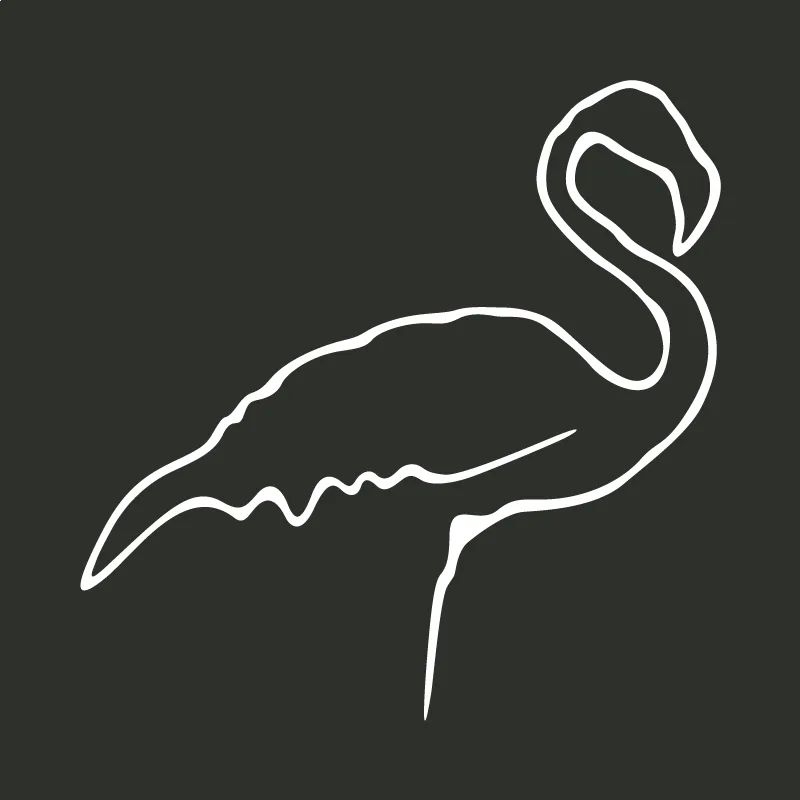 Le flamant des Caraïbes
